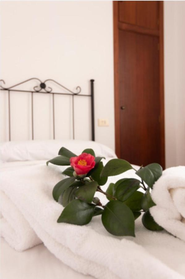 Hostal San Cristobal - Pontedeume ภายนอก รูปภาพ