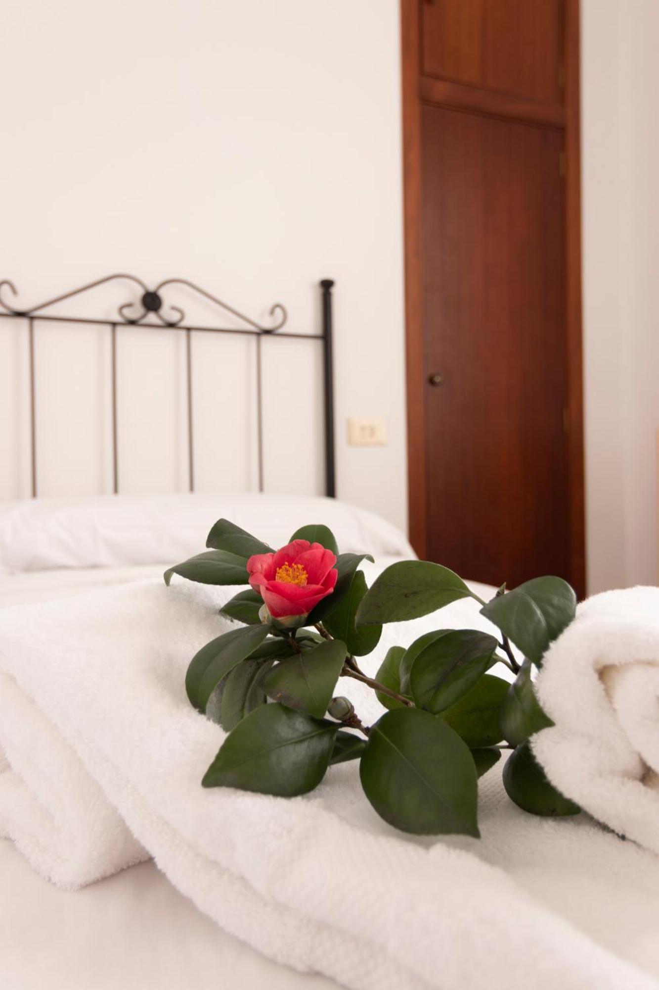 Hostal San Cristobal - Pontedeume ภายนอก รูปภาพ